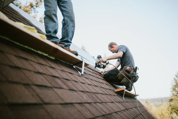 Quick and Trustworthy Emergency Roof Repair Services in Mobile, AL